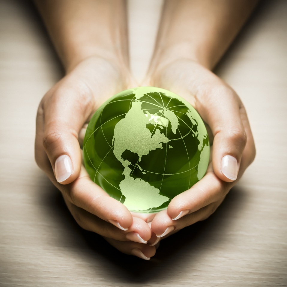 Biocode – an environmental impact calculation system for farms