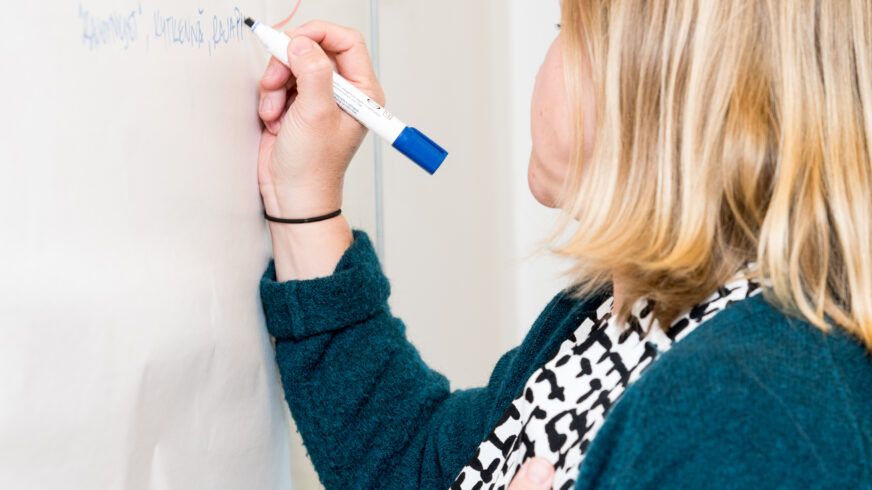 We are now looking for a new Project Manager