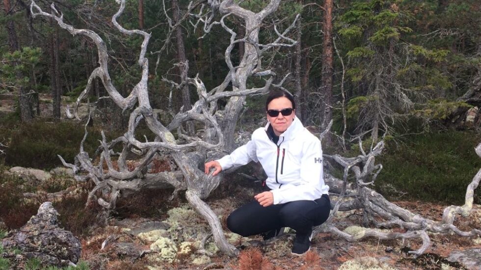 Pääoperaattori Terhi Reinikainen