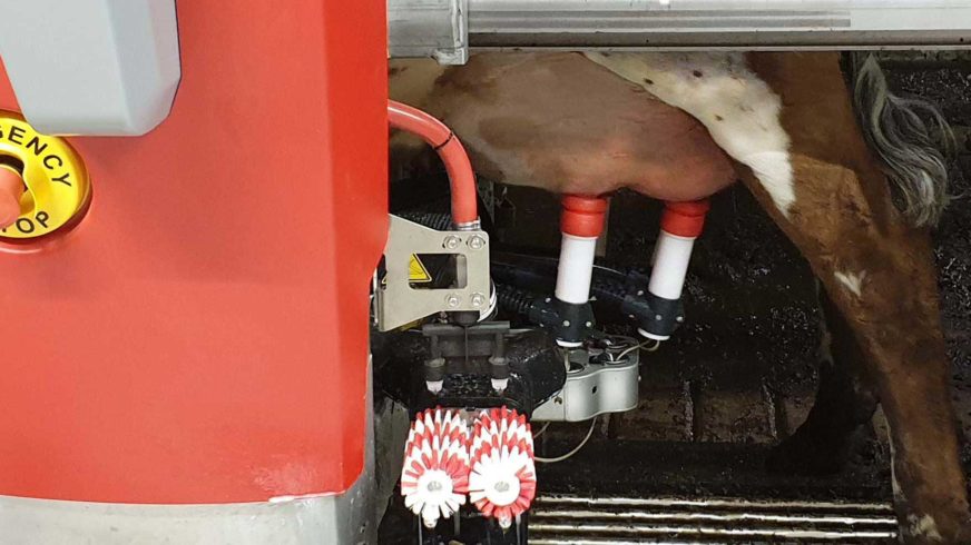 Webinar farmer-operated milk recording systems