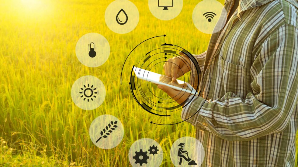 Digitalised food supply chains for a sustainable future