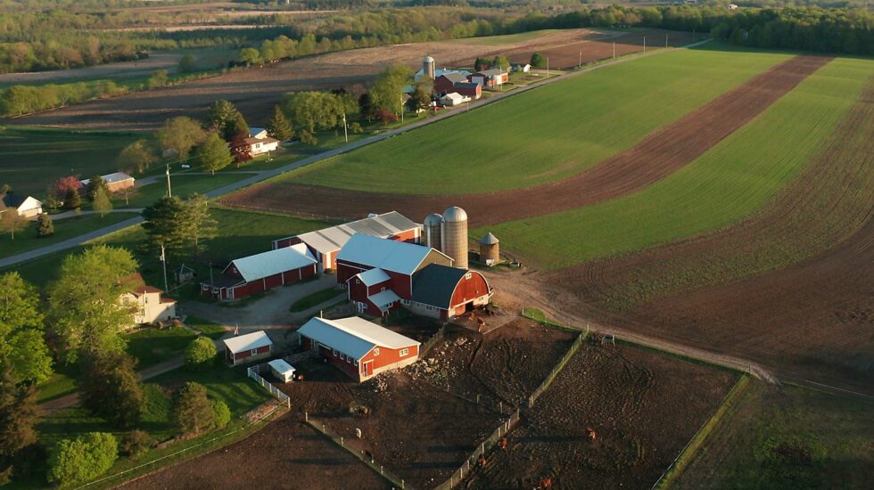 AFarCloud – hiilijalanjälkilaskenta työkaluksi maitotiloille