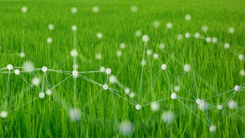 FlexiGroBots - nurmenkorjuuajankohdan optimointia koneoppimisella