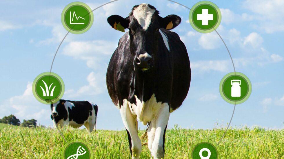 Webinar: Integrated data collection in herd management - success case Finland
