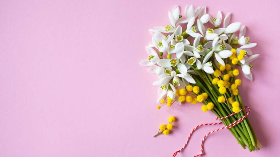 Faba osuuskunnan hopeiset ansiomerkit Christian Jurvaselle ja Jarkko Ilomäelle