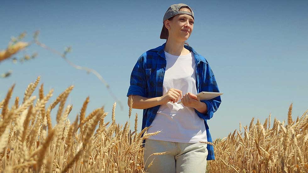 kestävä ruokajärjestelmä,kestävän kehityksen yritykset