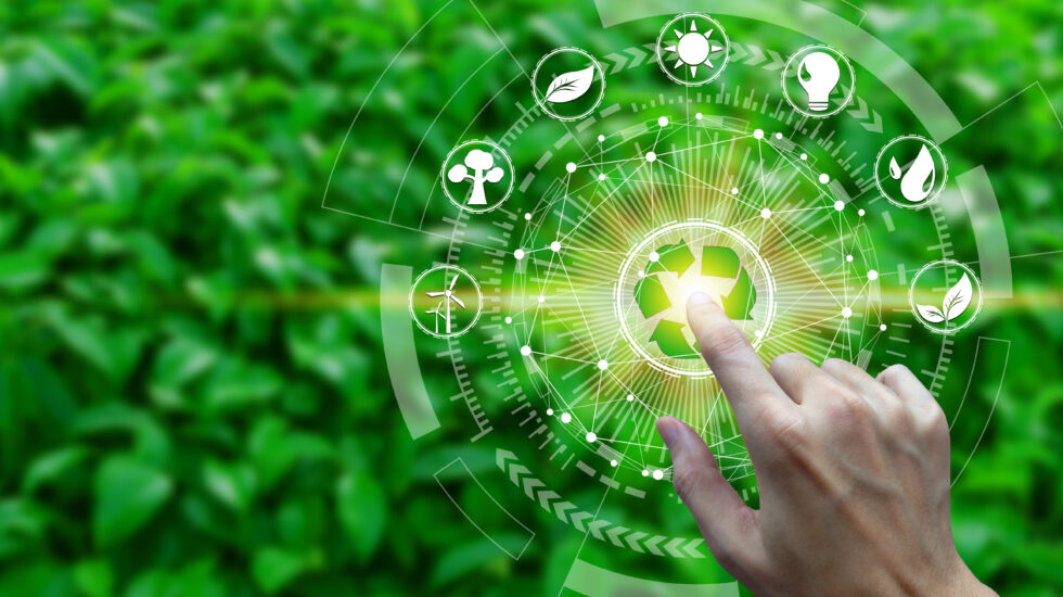 Using global standards to create a sustainable food chain, Globaaleilla standardeilla kohti kestävää ruokaketjua