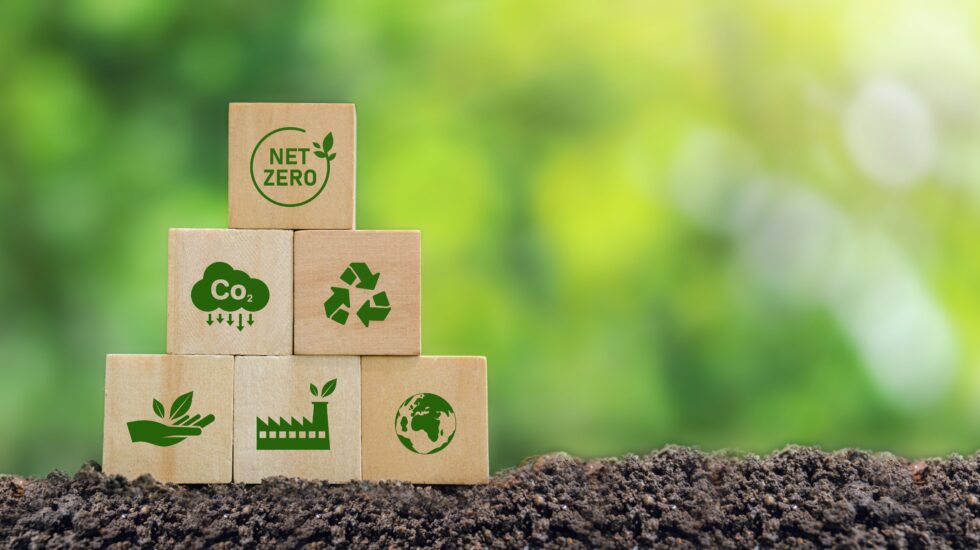 Biocode hiilijalanjälkilaskuri auttaa kaikenkokoisia yrityksiä selvittämään hiilijalanjälkensä