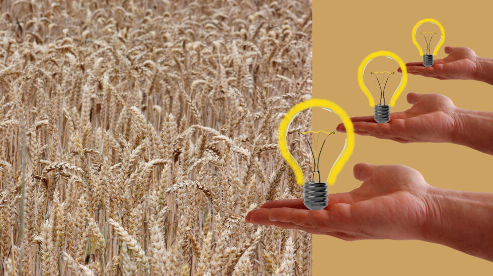 agriculture technology, data security and privacy