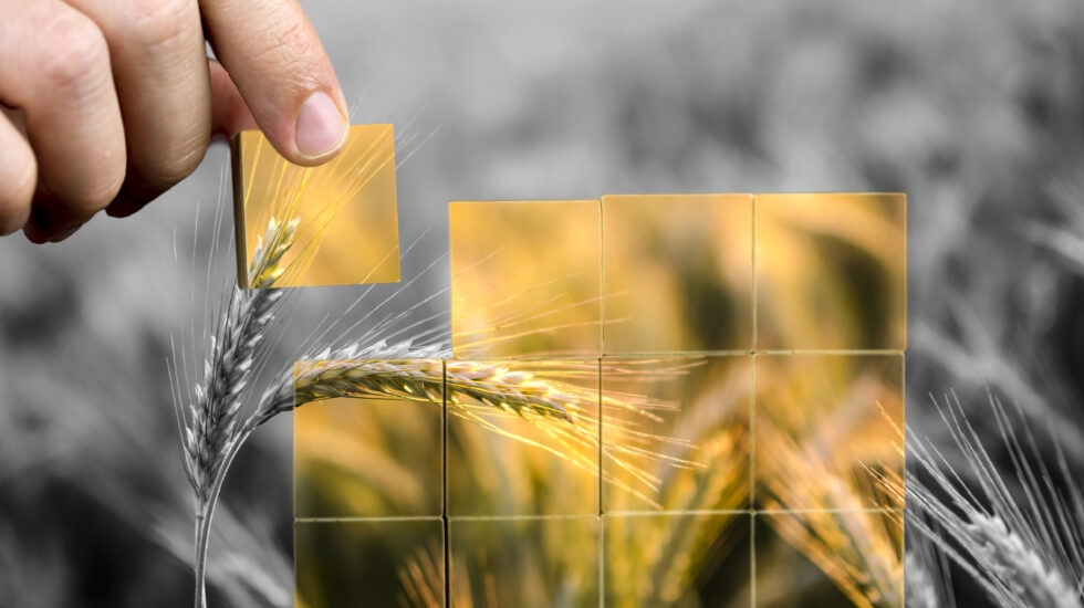 GS1 Finland Data model of food responsibility Standardization organization Efficient information exchange Food production Agricultural sector Common standards Traceability Competitiveness Mtech