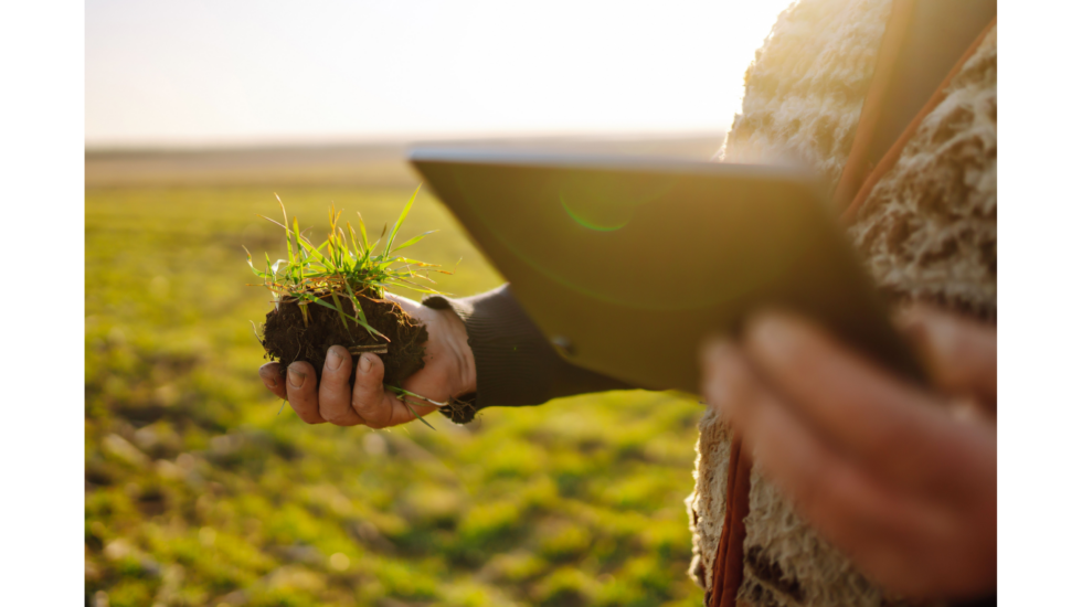 Digitaalinen ratkaisu, Lannoitetoimitukset, Asiakaskokemuksen kehittäminen, Mtech, Logistiikka, Suoramyynti, Viljelijät